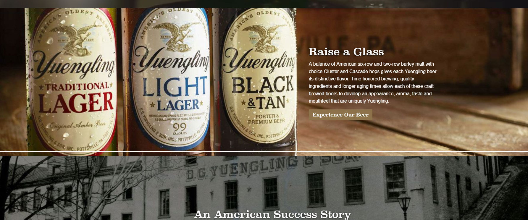 Yuengling beer